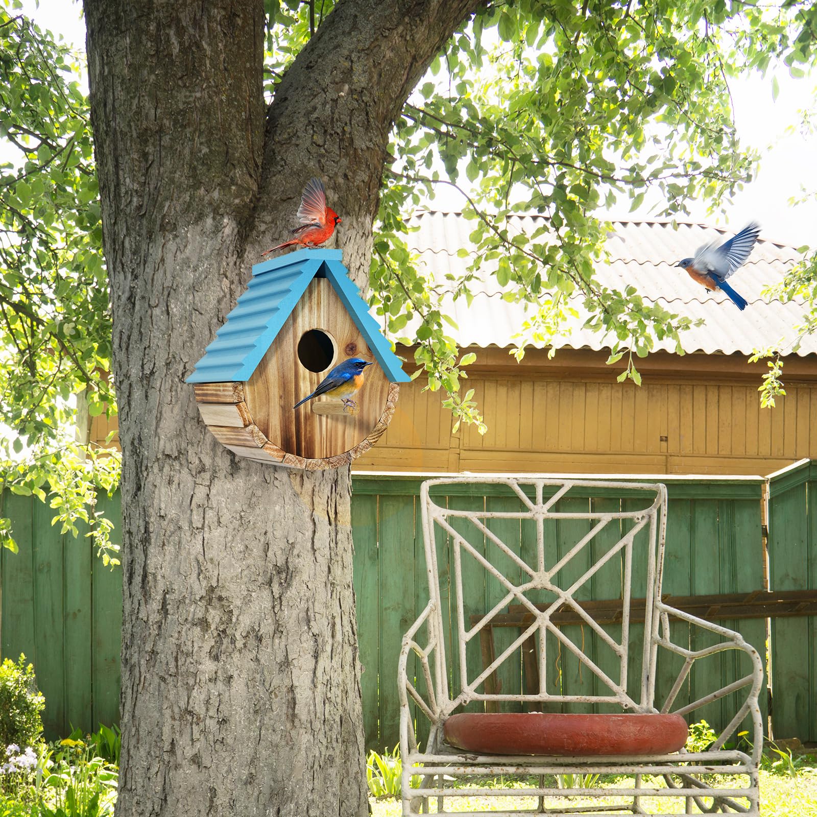 Auslar entrance hole bluebird 80mm — entry for small cavity-nesters.