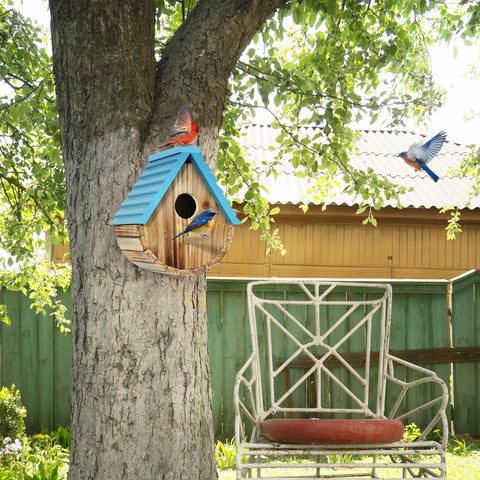 Auslar entrance hole bluebird 80mm — entry for small cavity-nesters.