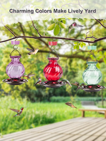 Auslar 2-pack hummingbird feeders for multiple garden stations.