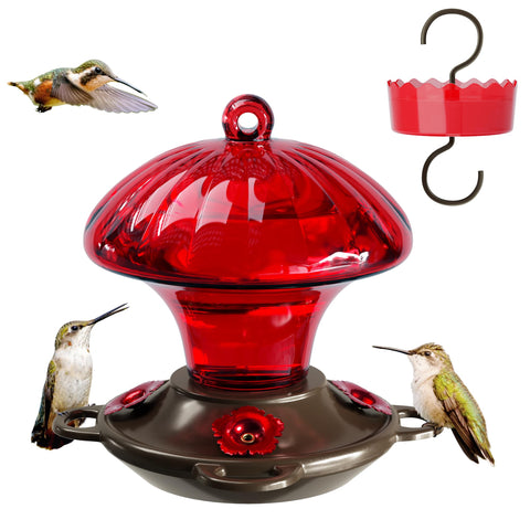 Auslar red mushroom hummingbird feeder attracts visits to the garden.