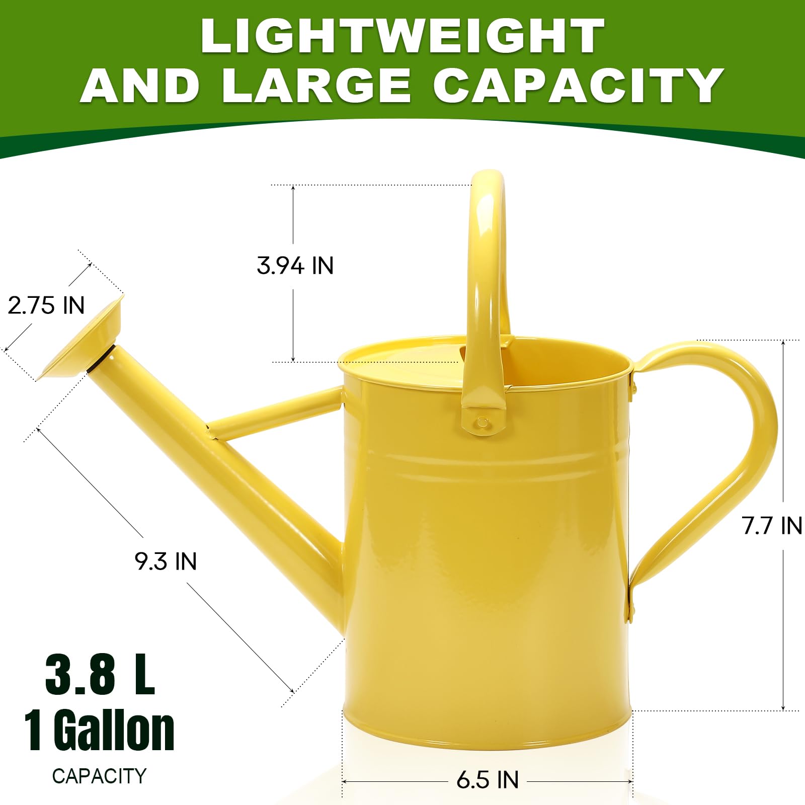 Ausluru galvanized 1-gallon watering can for durable indoor and outdoor use.