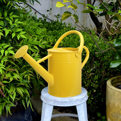Ausluru indoor-outdoor use watering can adds stylish utility to plants.