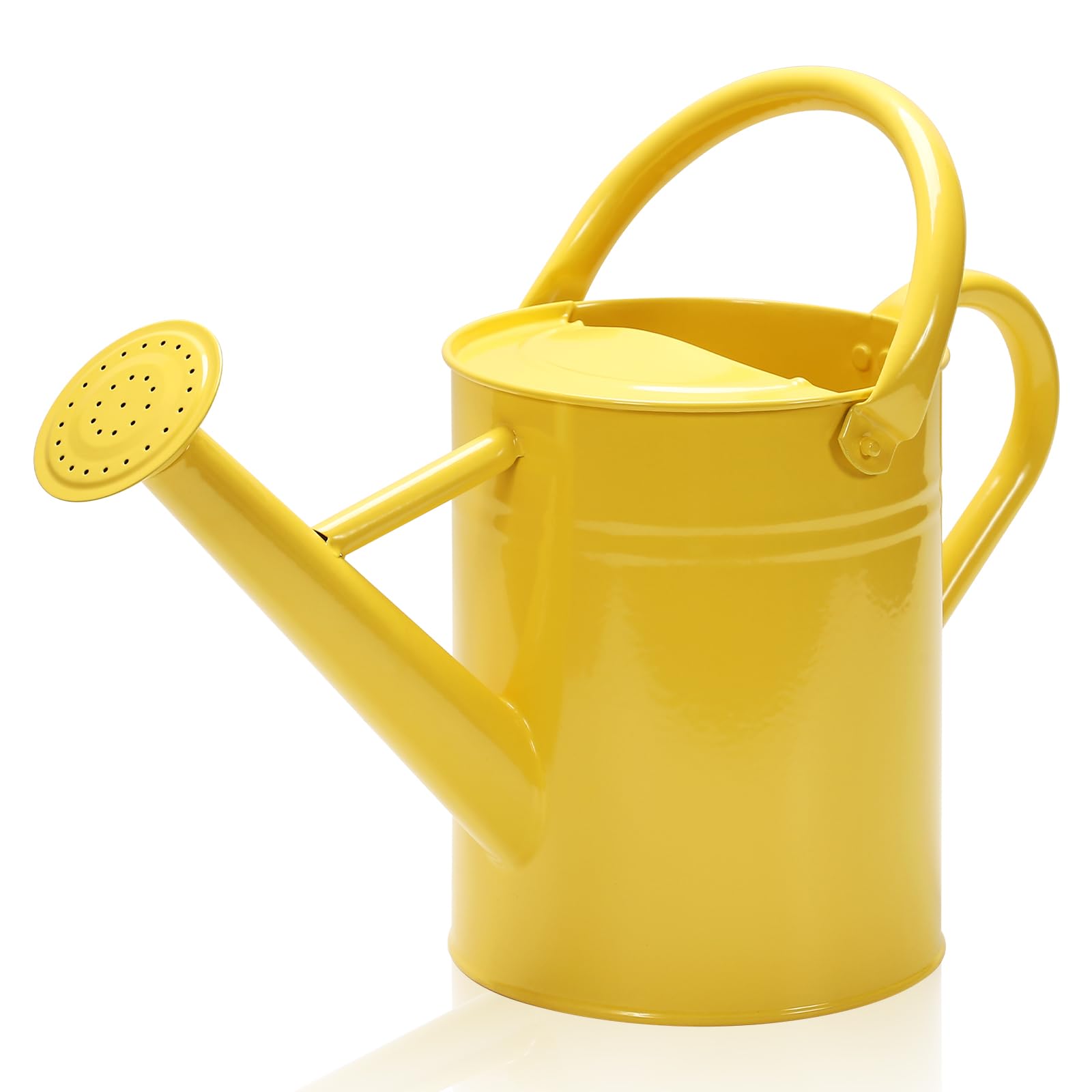 Ausluru metal watering can with removable spout for precise pouring.