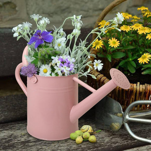 Ausluru pink can with removable spout simplifies refilling and cleaning after use.