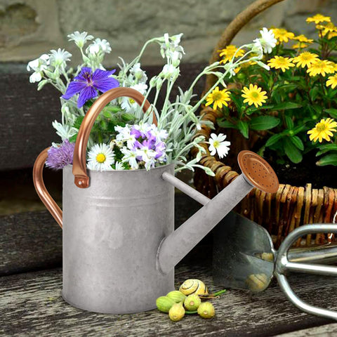 Ausluru stylish, functional design complements home or garden decor.