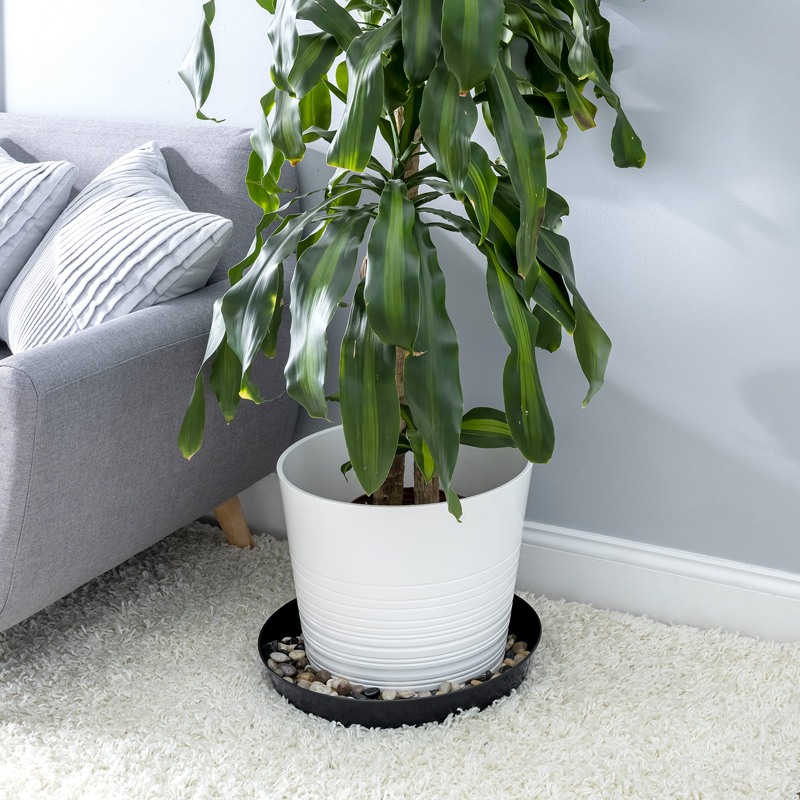Austin Planter eco-friendly polypropylene tray supports indoor and outdoor gardening