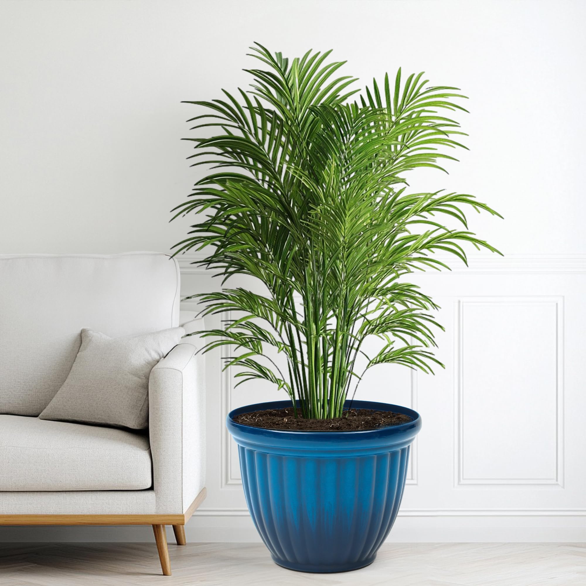 Autodaya planter close-up of gradient cobalt blue texture