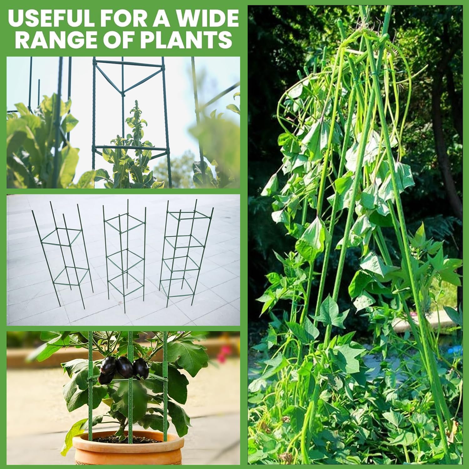 AUTOHAOL tomato cage set provides sturdy support during windy conditions