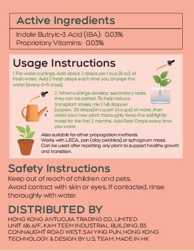 Auvctixa root health maintenance during regular watering for stronger plants