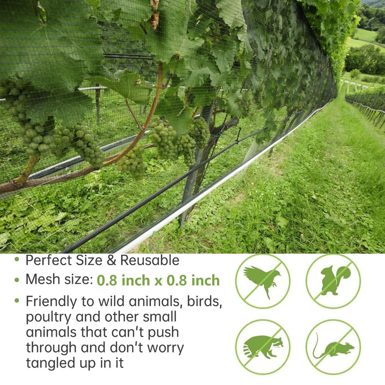 Avagiaforu deer barrier netting deters wildlife while maintaining airflow