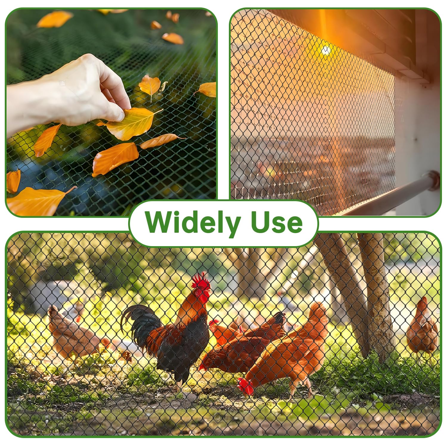 Avagiaforu versatile protection netting guards vegetables and fruit trees from pests