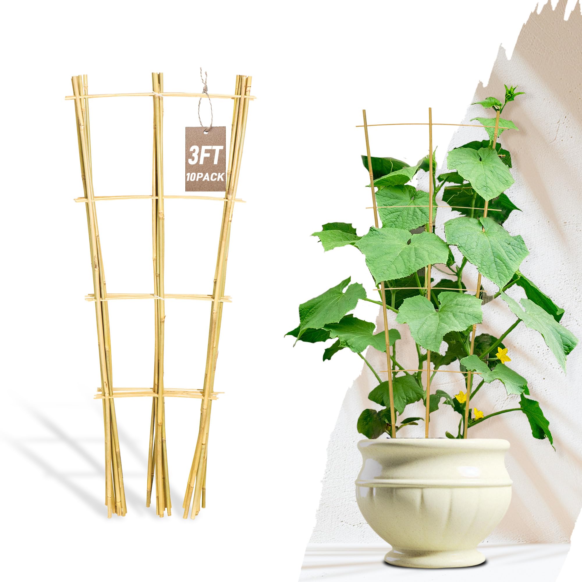 Avalution 10-pack bamboo trellis in 3ft ladder style supports climbing plants indoors.