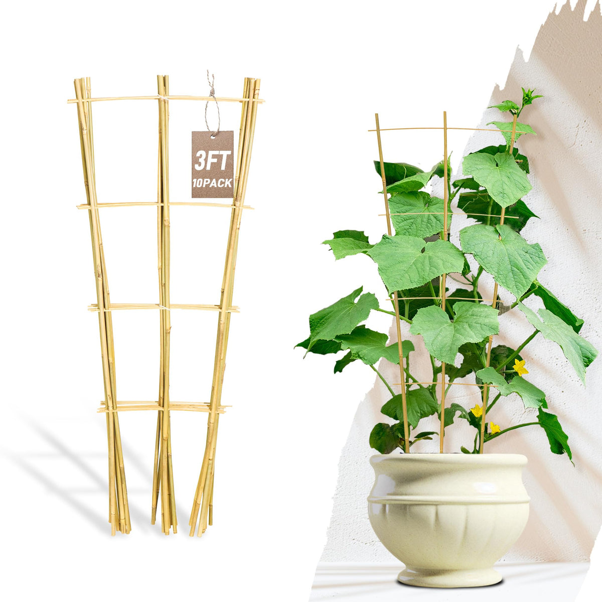 Avalution 10-pack bamboo trellis in 3ft ladder style supports climbing plants indoors.