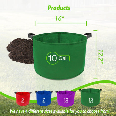Avalution fabric bags enable 360-degree airflow for healthier fibrous root development.