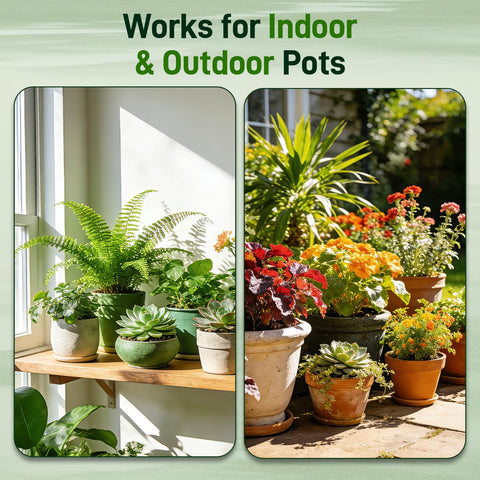 Lightweight Avalution 3QT soil makes potting easier.