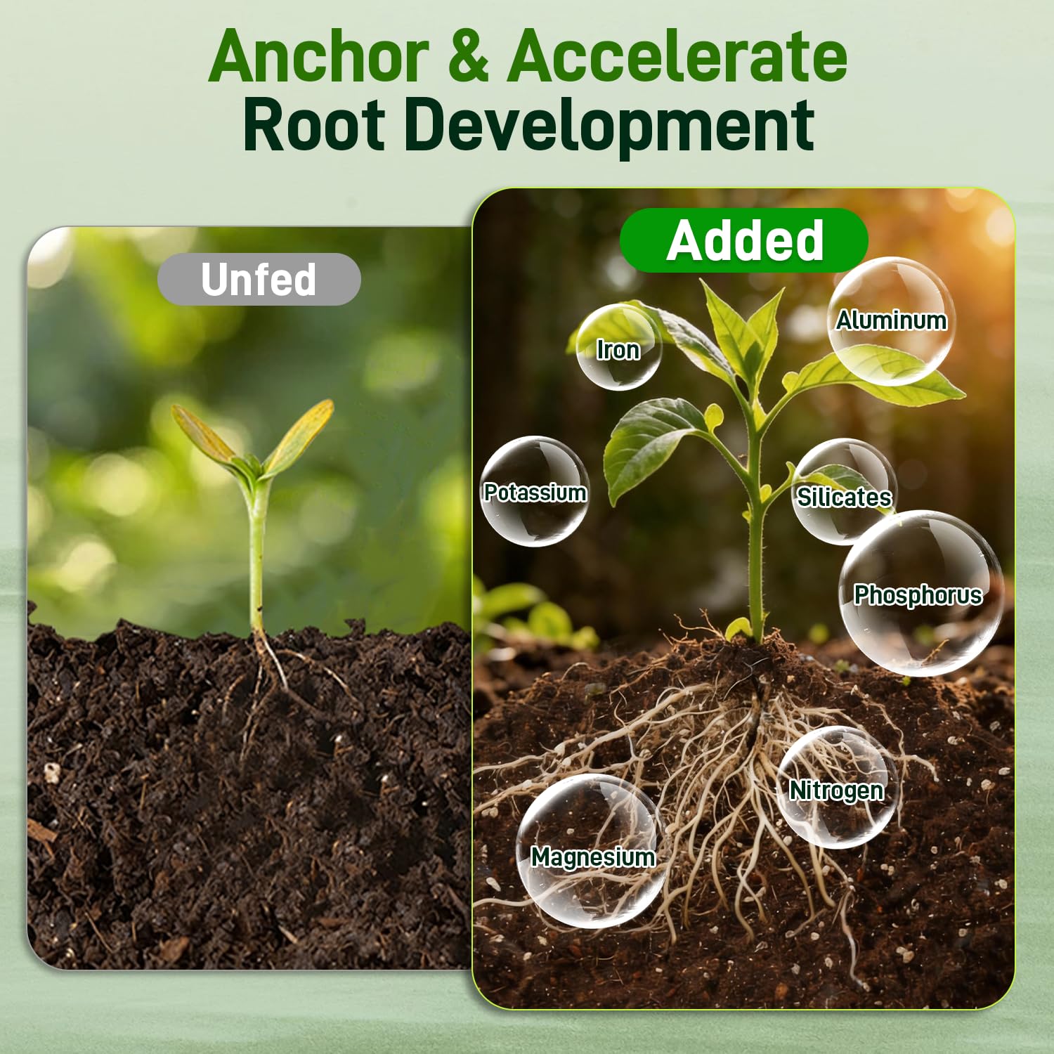 Avalution mix provides moisture retention for between waterings.