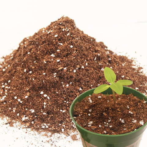 Avalution 3QT potting soil packaging for easy storage and use.