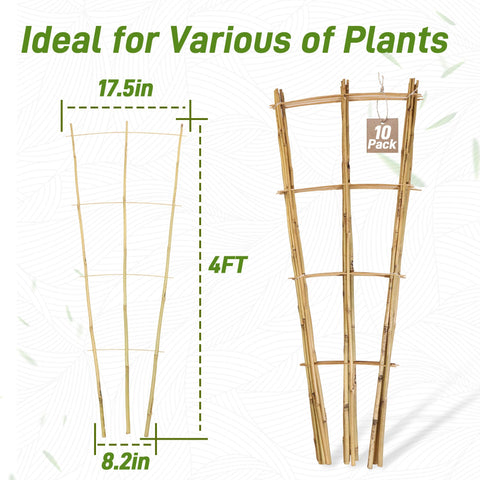 Avalution 10-pack bamboo trellises ideal for multiple vertical plant setups
