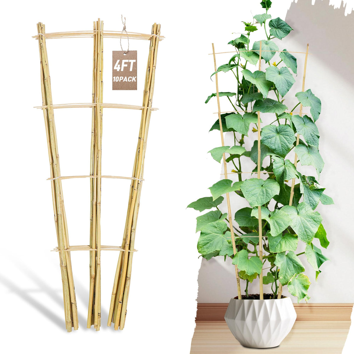 Avalution bamboo trellis 4ft ladder supports climbing vines in a pot