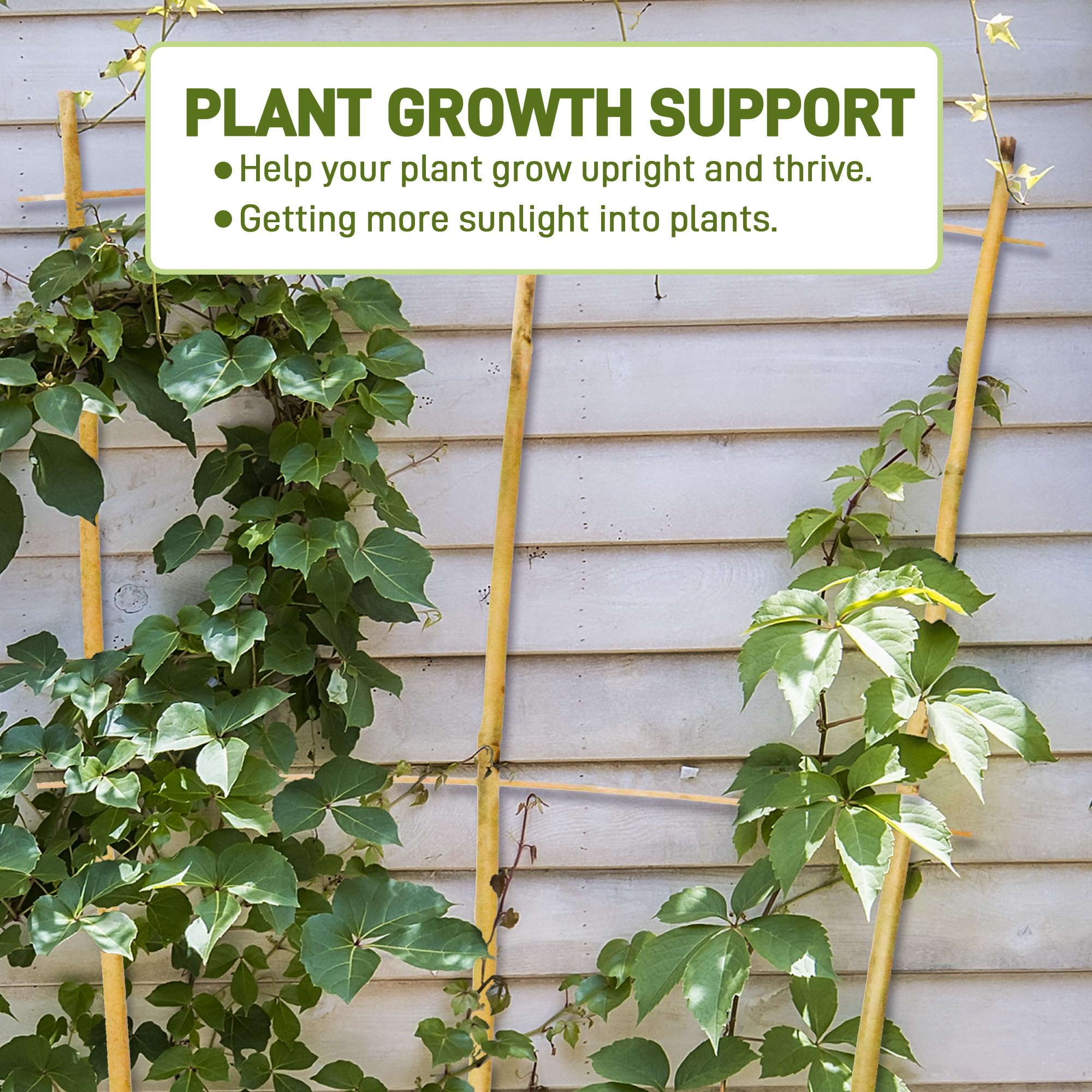 Avalution bamboo trellis for indoor/outdoor use enhances plant structure and display.