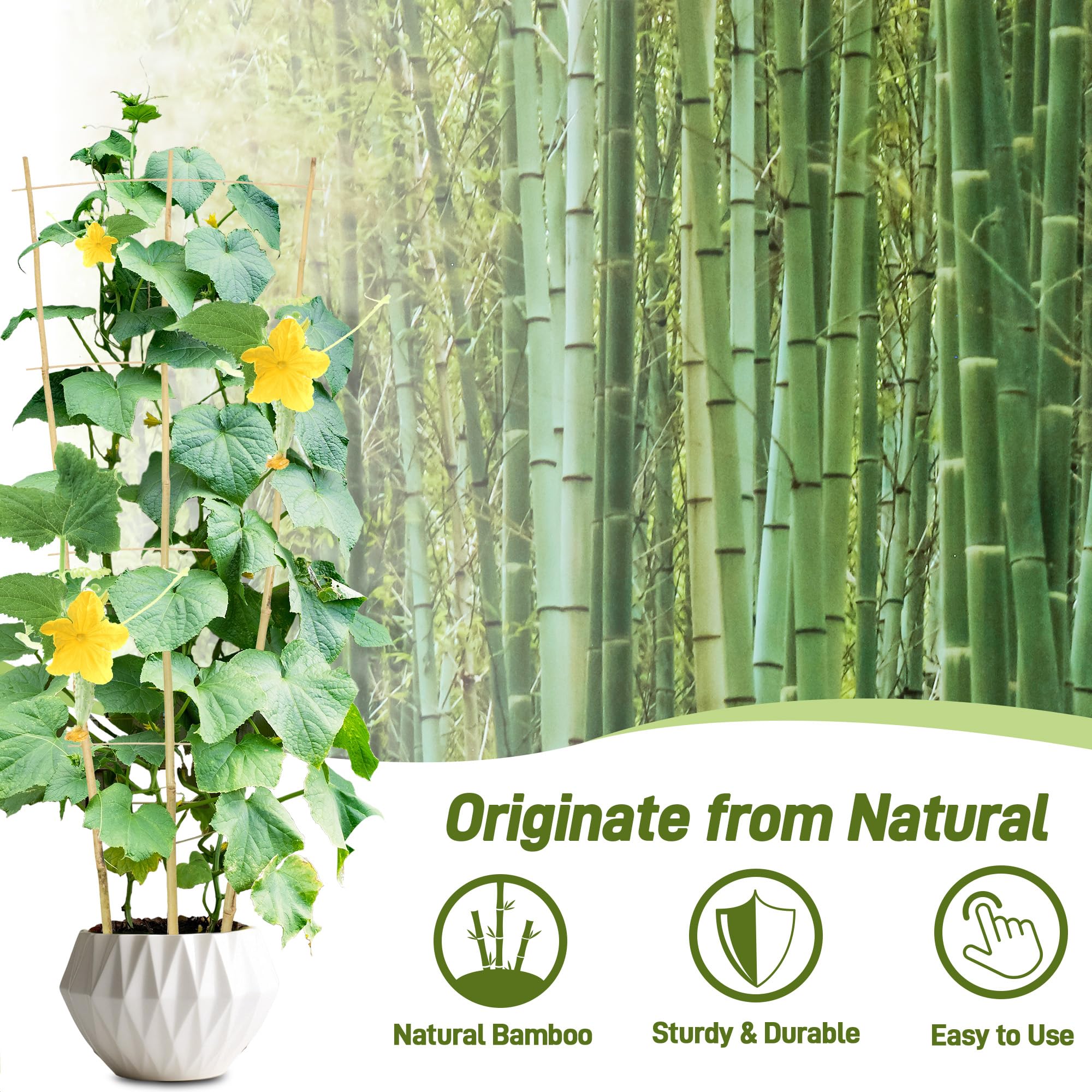 Avalution indoor trellis placed in a pot to guide vertical growth of houseplants