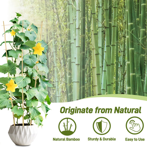 Avalution indoor trellis placed in a pot to guide vertical growth of houseplants