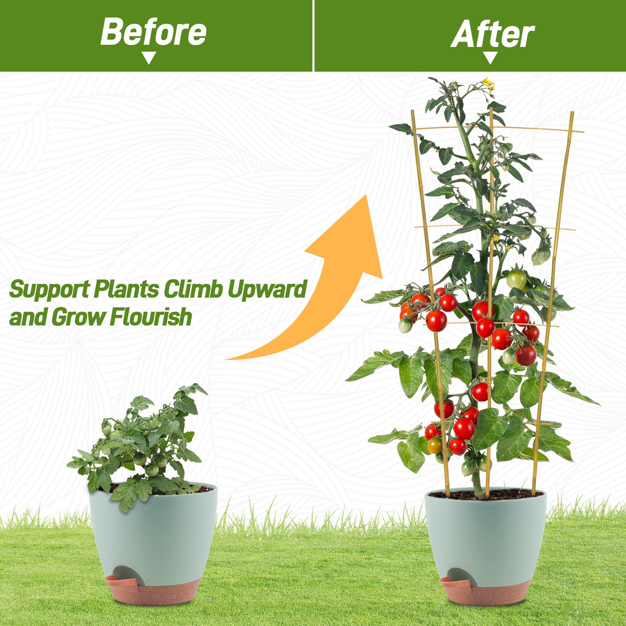 Avalution trellis helps ivy, hoya, and monstera climb with style.