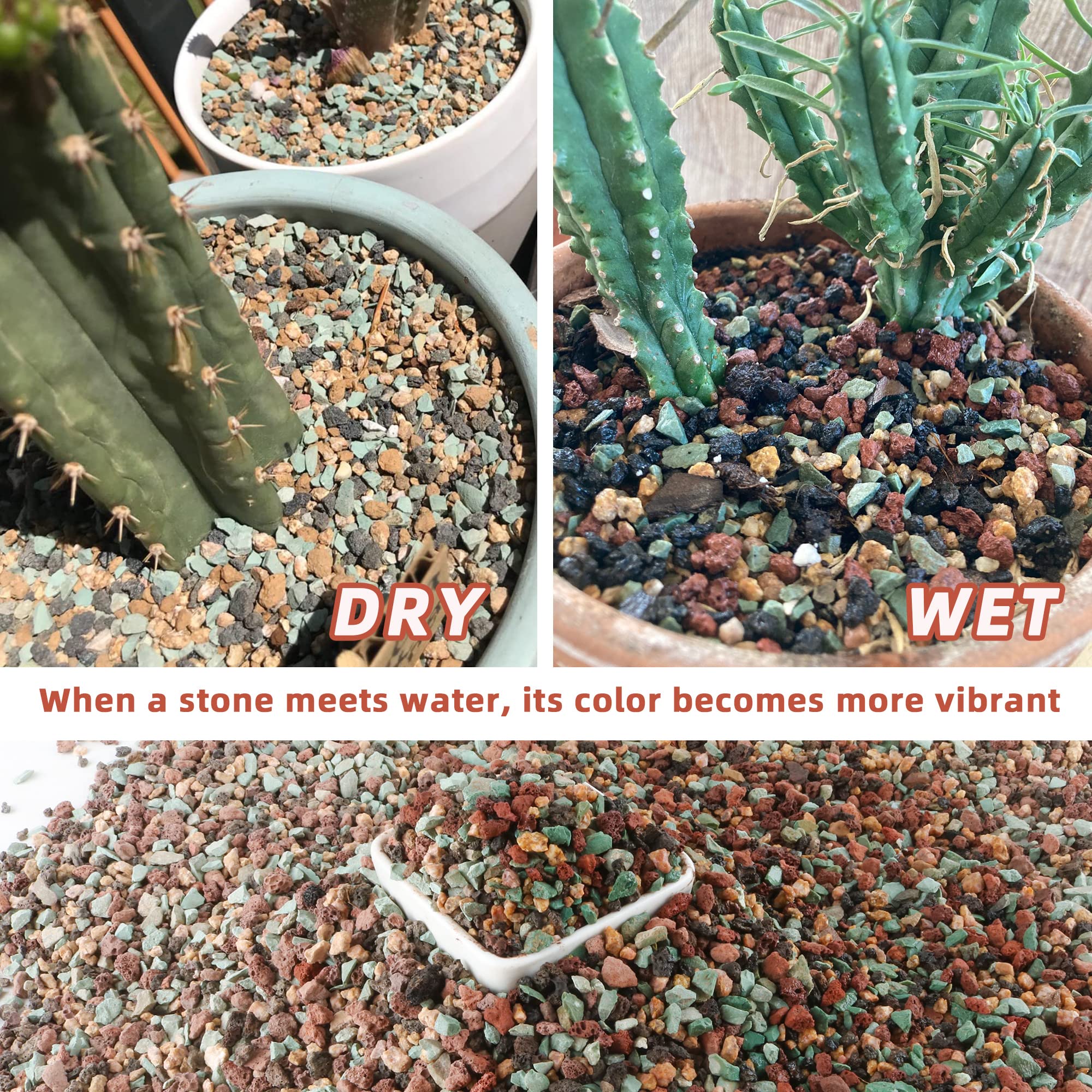 Avalution bonsai top-dressing provides stable decorative substrate.