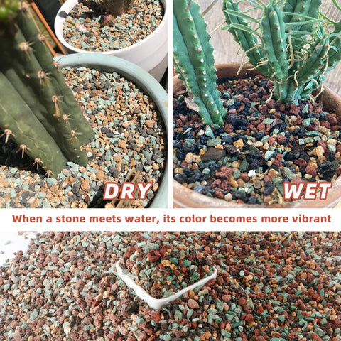 Avalution bonsai top-dressing provides stable decorative substrate.