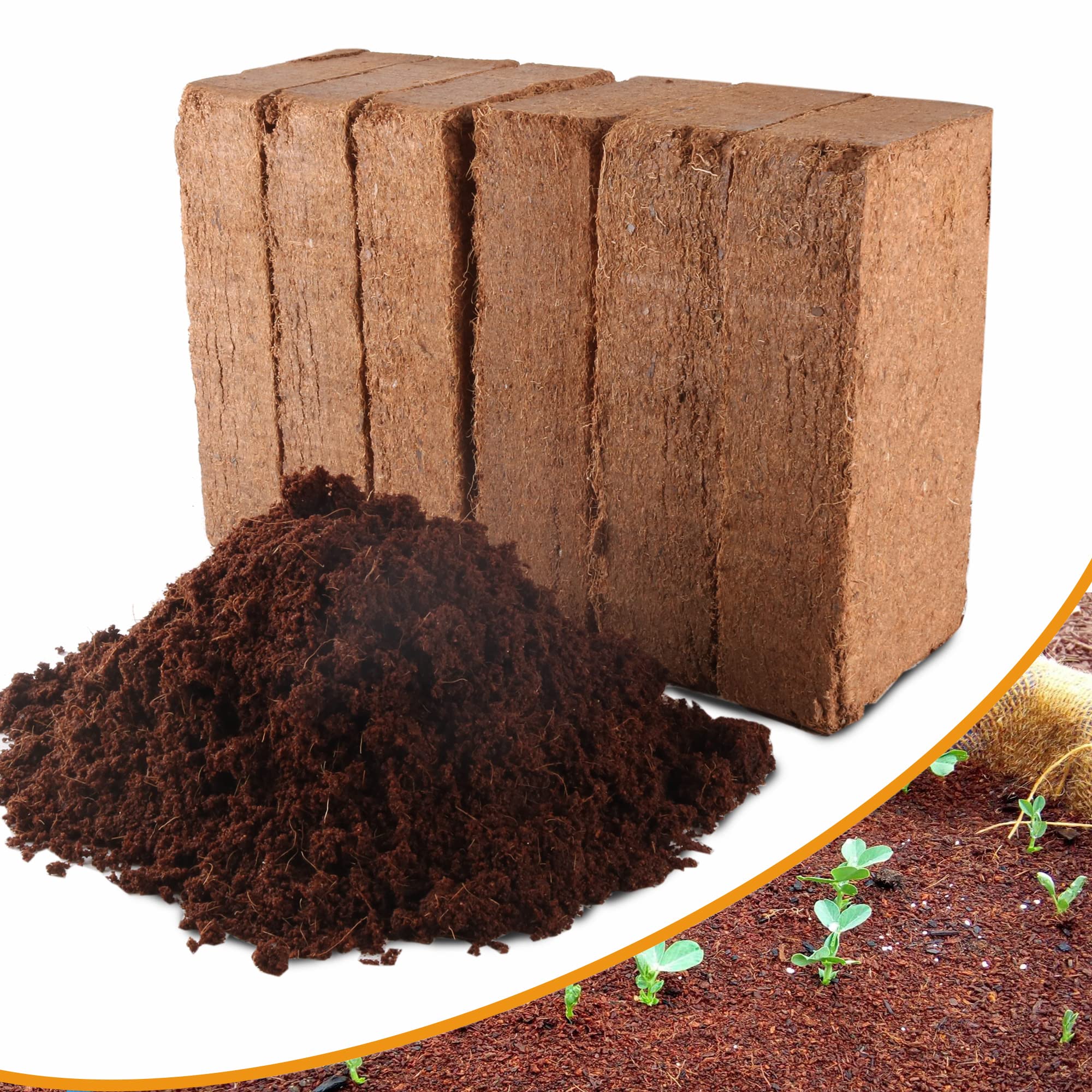 Avalution coconut coir bricks in compact dry form ready to hydrate for versatile growing