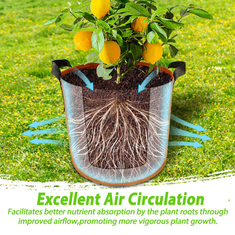 Avalution 10-gallon grow bags in bright colors to brighten garden spaces.