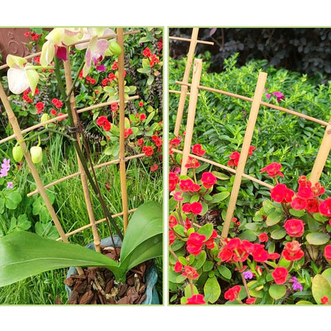 Avalution compact ladder trellis supports cucumbers and peas in small spaces