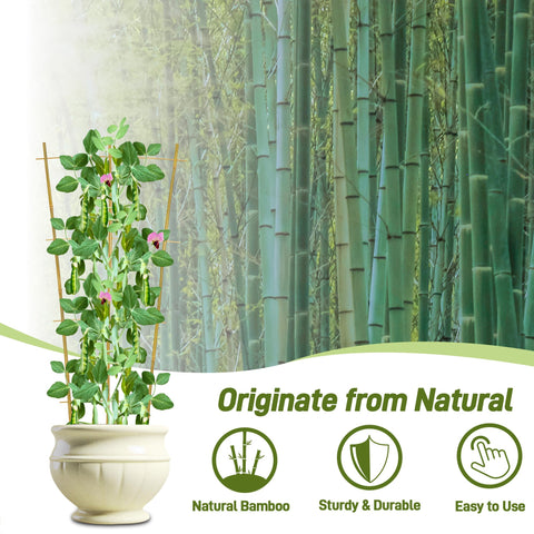 Avalution fan-shaped trellis provides elegant support for compact houseplants.