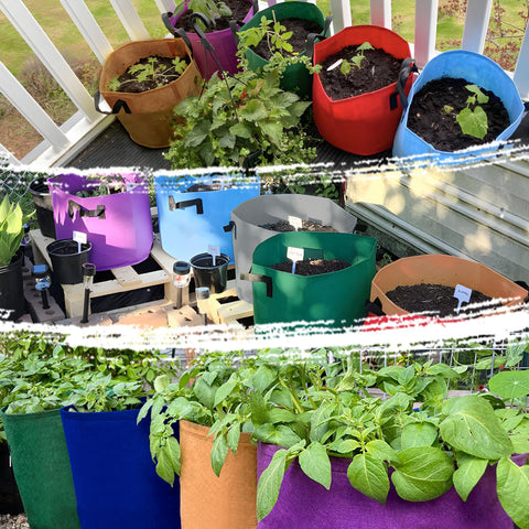 Avalution durable fabric grow bags designed for every-season use.