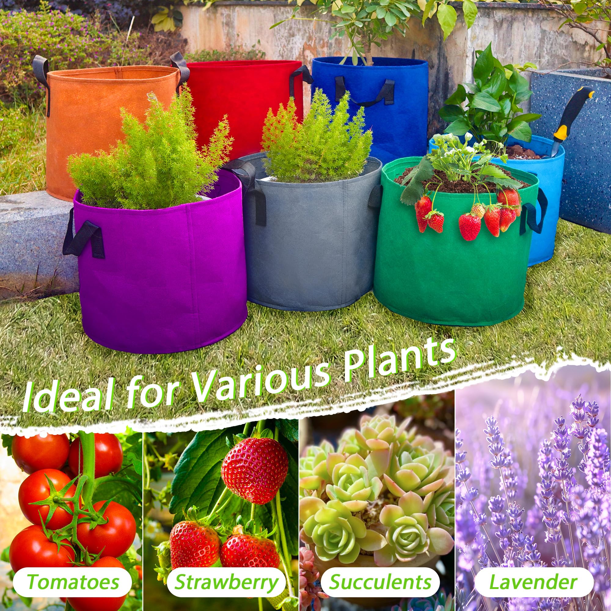 Avalution grow bags are easy to set up for quick balcony planting.