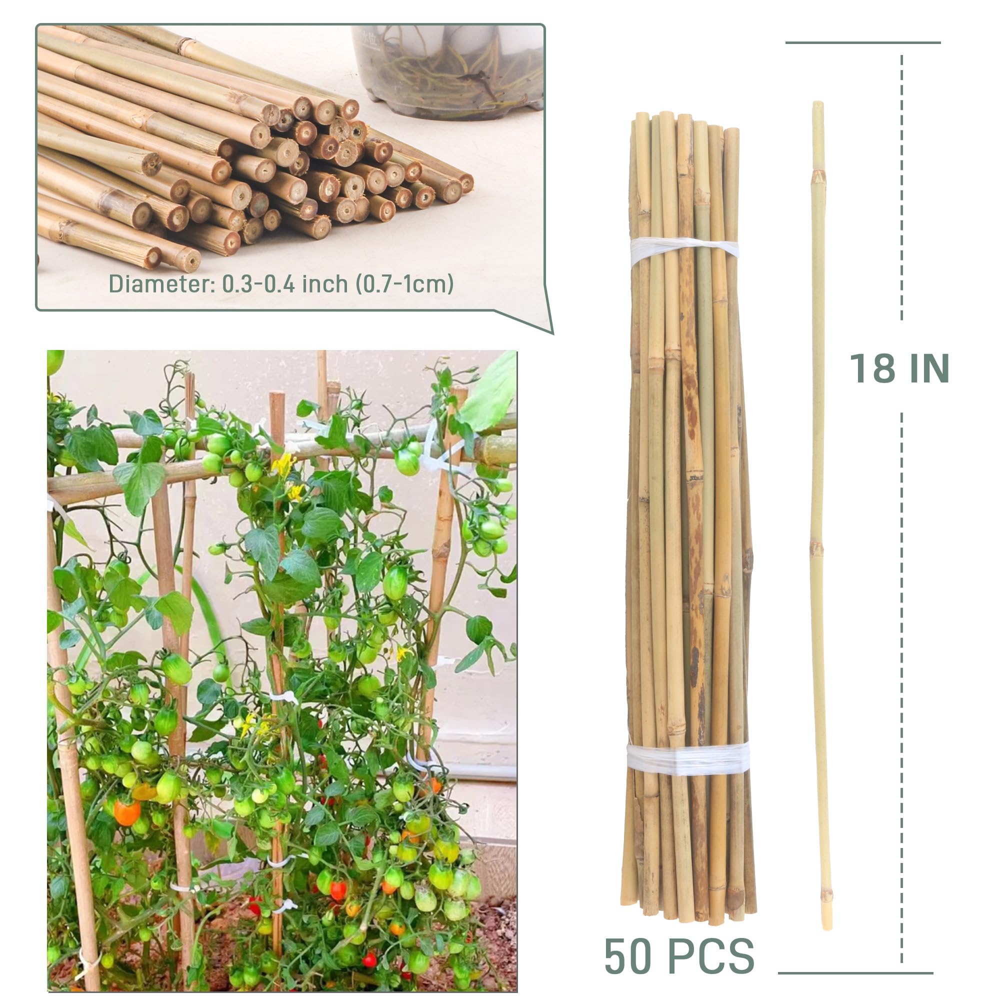 Avalution indoor and outdoor plant stakes fit pots
