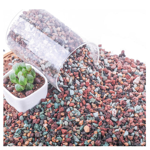 Avalution lava rock 5lb bag improves drainage for succulents and cacti.