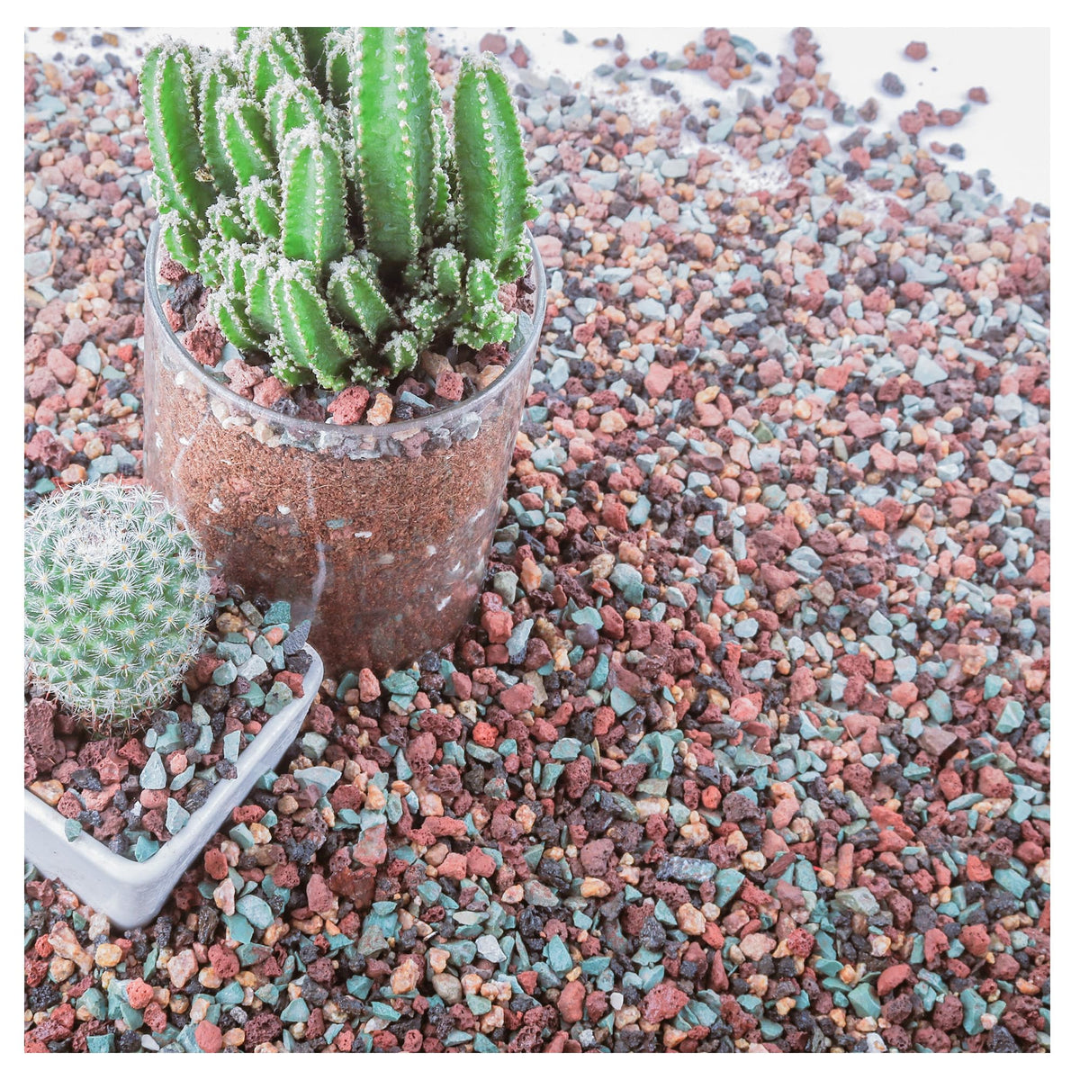 Avalution lava rock collection showcases natural texture ideal for drainage and decorative top dressing