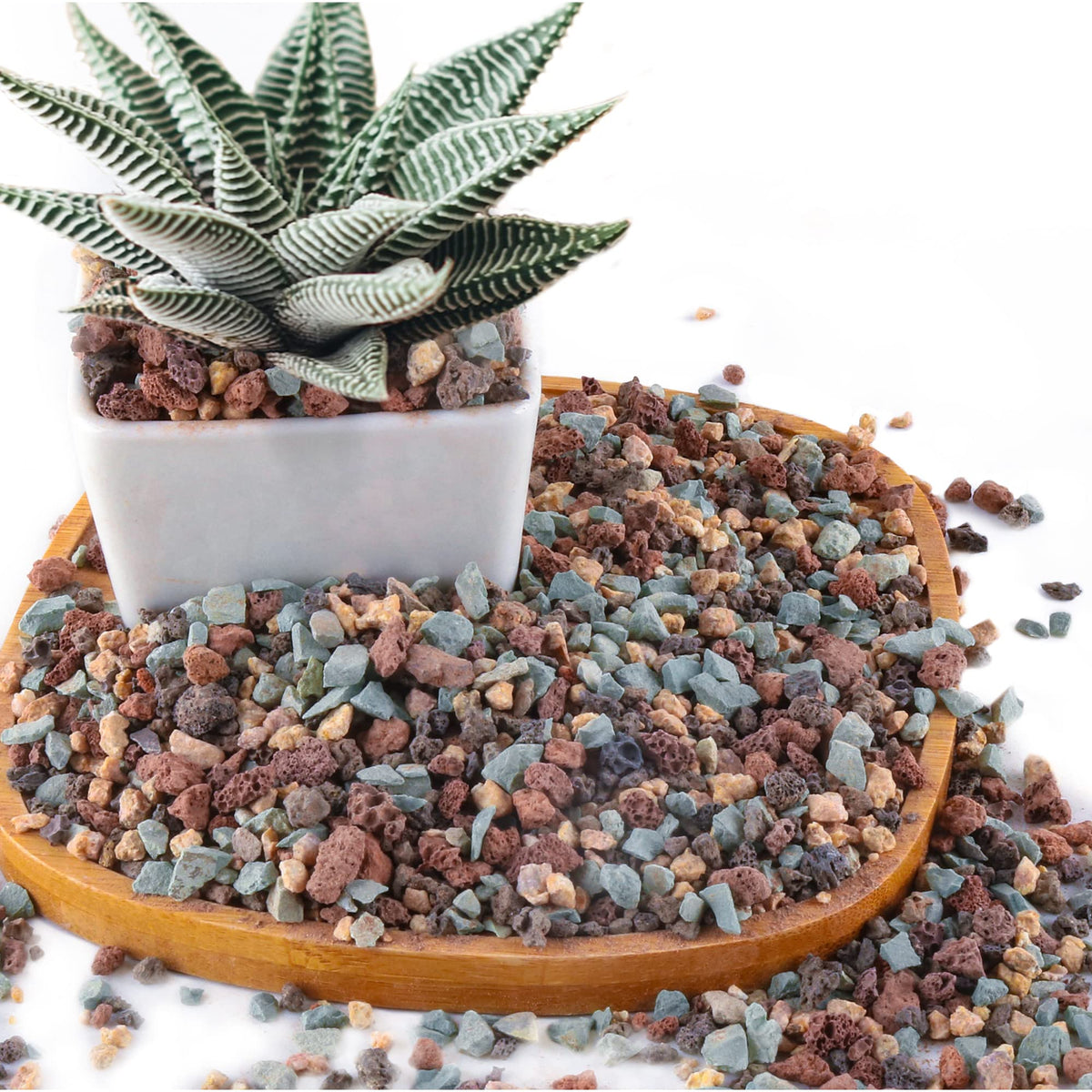 Avalution lava rock mix bag close-up showing drainage-friendly texture for succulents.