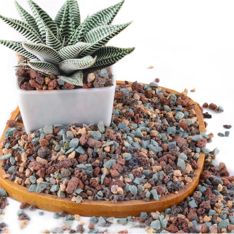 Avalution lava rock mix bag close-up showing drainage-friendly texture for succulents.