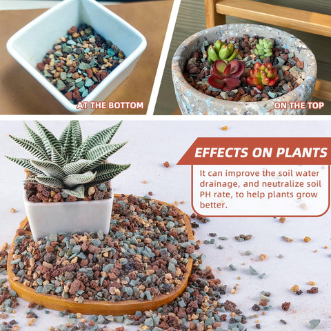 Avalution mini terrarium scene highlights DIY fairy garden potential.