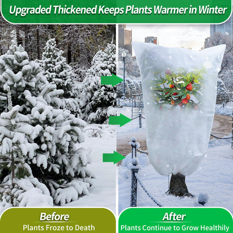 Versatile use includes seed germination and mid-summer shading with Avalution covers