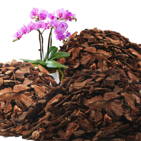 Avalution Orchid Bark 18QT packaging shows clean, ready-to-use pine bark for orchids.