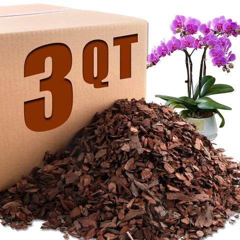 Avalution Orchid Bark 3QT bag-front for clean, ready-to-pot orchid setups.