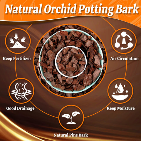 Avalution Orchid Bark provides aeration and drainage for healthy plants.