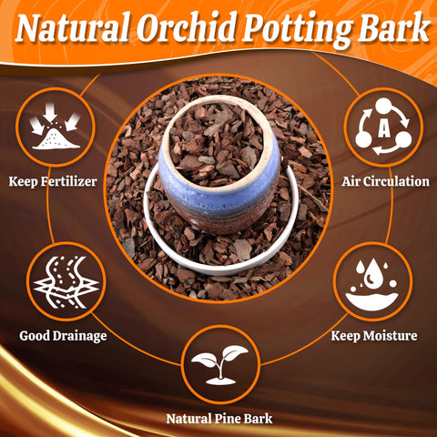 Avalution Orchid Bark – aeration and drainage for airy roots.