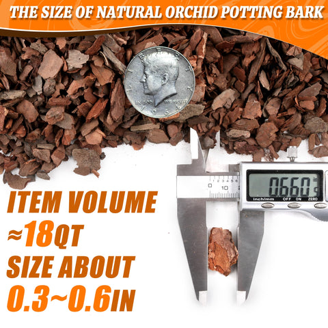 Avalution Orchid Bark – pH neutral and presterilized for a clean medium.