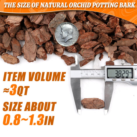 Avalution Orchid Bark is pH-neutral and pre-sterilized for clean media.
