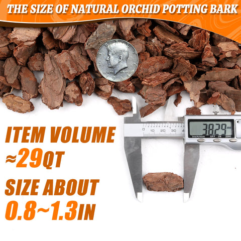Avalution Orchid Bark is pH neutral and pre-sterilized for clean growing media.