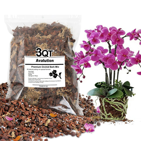 Avalution Orchid Bark Potting Mix 3qt bag closeup highlighting premium blend for healthy roots